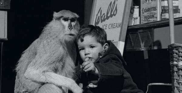 Child with Monkey, Wolf Suschitzky